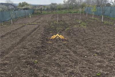 Casă cu 2 camere cu Teren 1100 Mp în Mihai Eminescu - 4