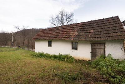 RECO Casa de vacanta la Holod- langa padure- teren 2190mp - 7