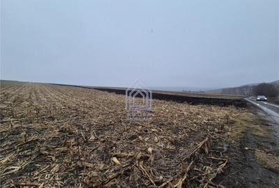 Teren de 7400 mp, în Moara - 1