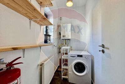 Casa/apartament tip studio/curte de inchiriat Parc Bazilescu - 9