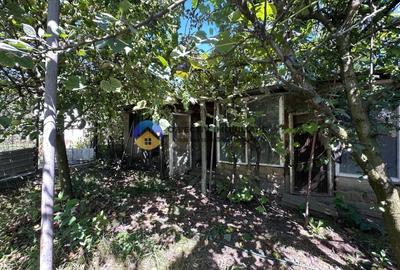 Casa + teren de vanzare - Zanesti - 10