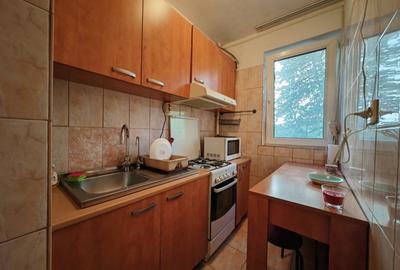 Garsonieră semidecomandată, mobilată în Nicolae Grigorescu - 8