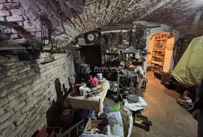 Casa pe malul Crisului - 172 mp - Ultracentral - 17