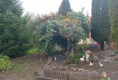 OCAZIE!!! CASA SUPERBA cu teren in JULITA jud Arad in M tii Zarandului - 2