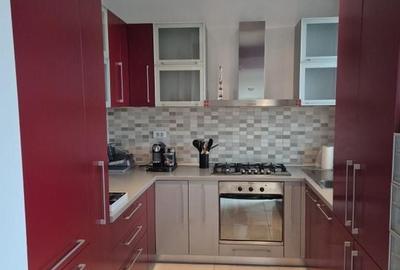 Luxury penthouse for rent close to the Center of Timisoara - 9