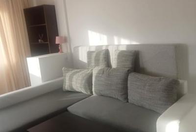 Garsonieră decomandată, mobilată în Nicolina - 11