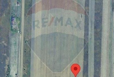 Teren agricol extravilan de 10000 mp, în Est - 2