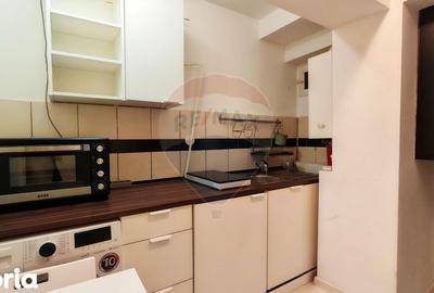 Apartament cu 2 camere în Cișmigiu - 13