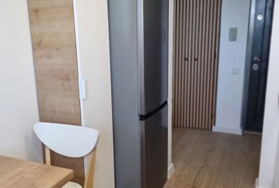 Apartament cu 2 camere, mobilat în Rahova - 4