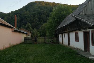 Vand casa batraneasca ?i teren 2500 mp la munte langa barajul Valea Uzului. - 2