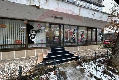 Spațiu de birouri de 160mp de închiriat în zona Calea Calarasilor - 2