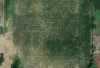 Teren de 3000 mp, în Muchea - 1