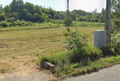 Spațiu comercial, în Halânga - 3