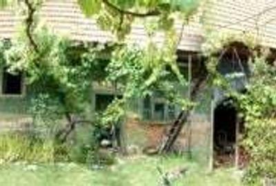 Casa la munte - 4