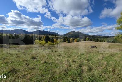 Spațiu comercial, în Șieu - 1