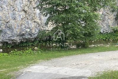 Teren de 4500 mp, în Dâmbovicioara - 5