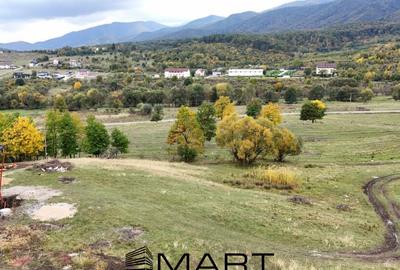 Teren de 1255 mp, în Cisnădioara
