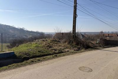 Teren de 2666 mp, în Bonț - 5