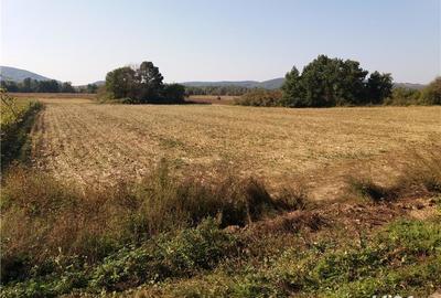 Teren de 11000 mp, în Fârdea - 2