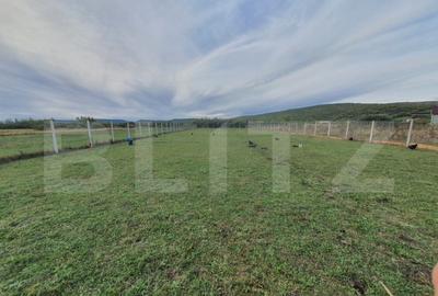 Casă cu 4 camere cu Teren 1500 Mp în Central - 2