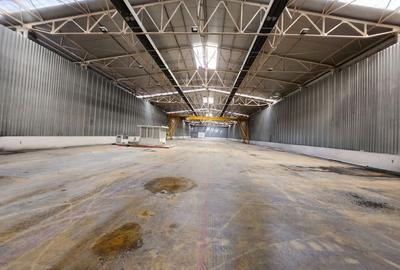 Hale depozit-productie industriala la 20 km de TM - 1