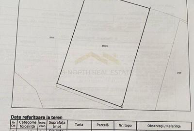 Teren intravilan 1 ha – Ciorogârla, deschidere directă la A1, viz-a-vis de eMAG - 4