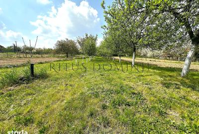 Teren de 5200 mp, în Sânmartin - 6