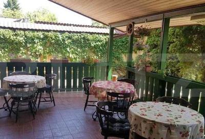 Pensiune de inchiriat, 450 mp, zona Lugojului Pensiune de inchiriat, 450 mp, zona Lugojului - 9