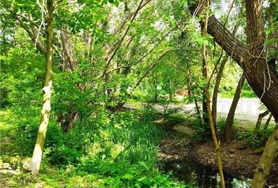 Vila 7 camere- 300 mpu+ curte 2000 mp- Giulesti- Sector 6 Vila 7 camere- 300 mpu+ curte 2000 mp- Giulesti- Sector 6 - 3