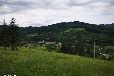 Teren de 1000 mp, în Mălini - 3