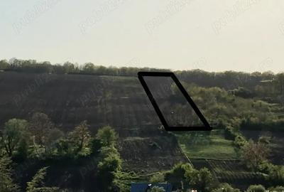 Teren de 10500 mp, în Rediu - 2