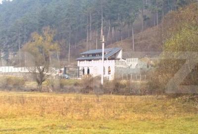 Casa individuala la rosu, 247 mp, teren 5000 mp in Surduc - 6