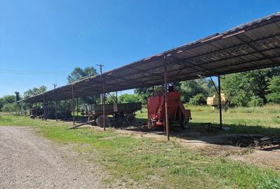 Teren de 7075 mp, în Bârsa - 6