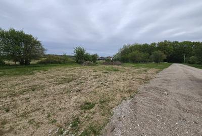 Teren Construcții intravilan de 1000 mp, în Clinceni - 4