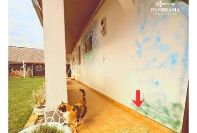 Casă de vânzare în Laslea-gospodărie autentică în inima Transilvaniei - 3