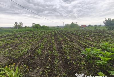 Casă cu 2 camere cu Teren 1600 Mp în Grămești - 14