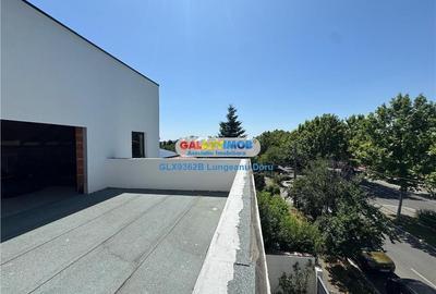 Vila P+1E+M, 310 mp, Laminorului - Chitila, Colosseum, Teren 262 mp - 4