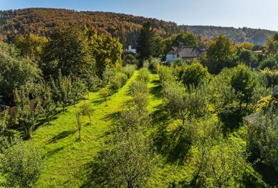 Vanzare teren investitie retail in Gura Humorului - Bld. Bucovinei Vanzare teren investitie retail in Gura Humorului - Bld. Bucovinei - 15