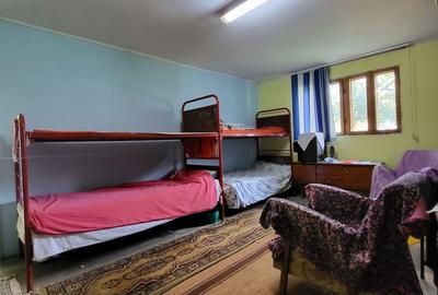 Casă cu 3 camere cu Teren 1000 Mp în Central - 5