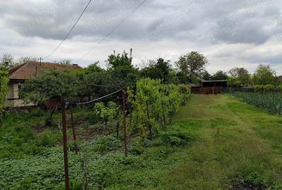 Casă cu 5 camere cu Canalizare în Nuci - 7