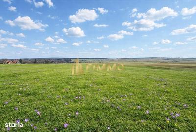 Teren de 3200 mp, în Mitocu Dragomirnei