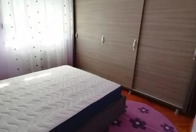 Apartament cu 2 camere de inchiriat in zona Piata Garii - 2