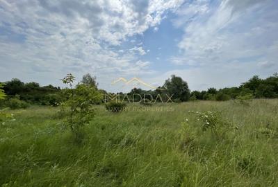 Teren Construcții intravilan de 1439 mp, în Crețești - 15