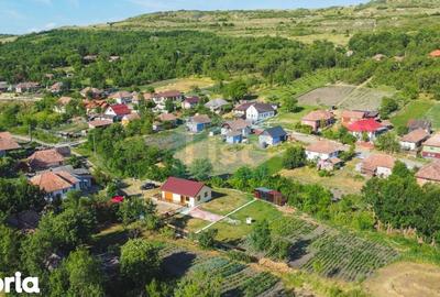 Casă cu 2 camere cu Teren 3100 Mp în Cornești - 11