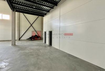 Spațiu comercial, de 300 mp, în Noua - 13