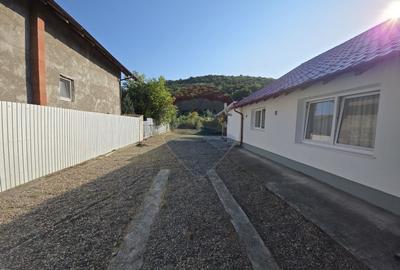 Casa cu teren de vanzare in Lespezi - 13