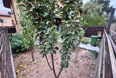Vila adiacent Drumul Fermei, Mobilata si utilata - 26