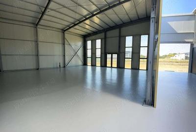 Spatiu Industrial, 912mp, Hala depozitare E85, Darmanesti. - 11