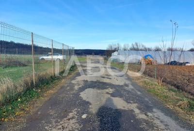 Teren intravilan 1687 mp pentru cabana zona de gradini Cisnadie - 2