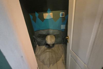 Spatiu Birou Calea Victoriei Centrul Vechi - 3